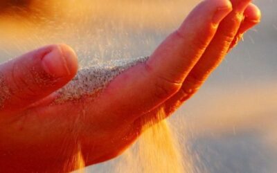 BEŞ DÖNÜŞÜM ÖĞESİNDE HANGİ ELEMENTTESİN?